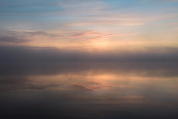 Misty morning at the bog. Gull on pole on a misty morning in a bog outside Copenhagen, Denmark