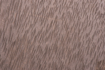 Wood texture