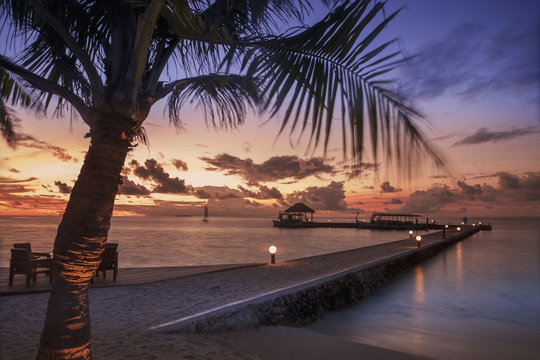 Beach trees at sunset, Ari Atoll, Maldives