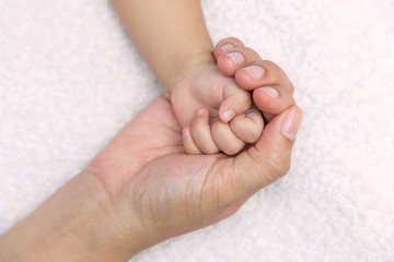 New born baby hand in mom palm