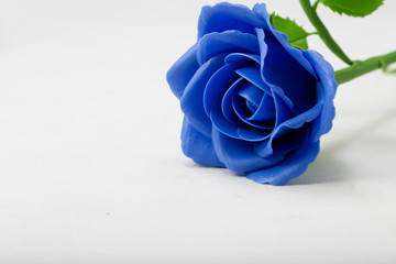 Blue rose flower on white background, made from clay