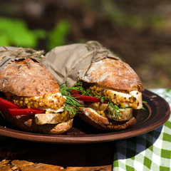 Two sandwiches with chicken at a picnic © natalieina17
