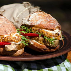 Two sandwiches with chicken at a picnic
