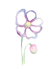Watercolor  flower