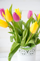 Bouquet of spring tulips