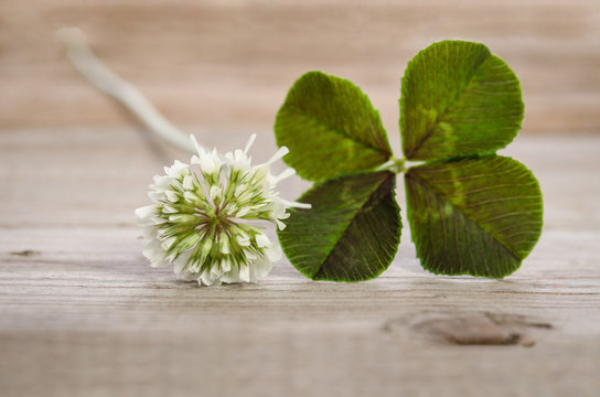 four-leaf clover with flower on wooden background