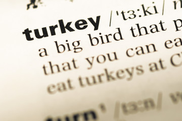 Close up of old English dictionary page with word turkey