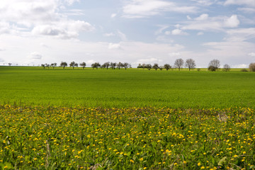 Auf dem Altmühltal-Panoramaweg