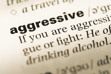 Obraz premium Close up of old English dictionary page with word aggressive