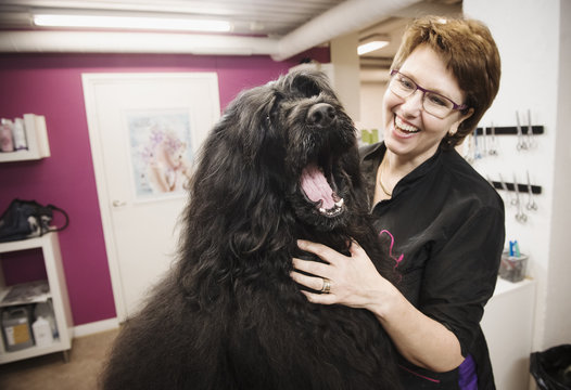 Portrait of dog and groomer in dog grooming salon