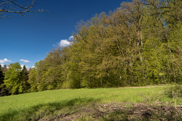 Obraz premium Auf dem Altmühltal-Panoramaweg