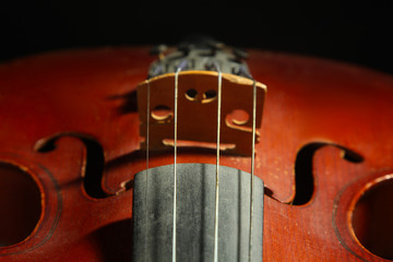 the strings of the violin closeup