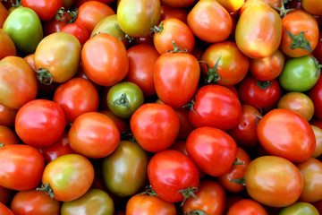 Lots of tomato as a background