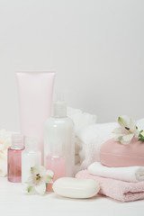 Obraz na płótnie Canvas Spa Kit. Shampoo, Soap Bar And Liquid. Toiletries