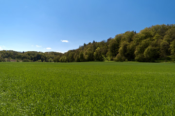 Auf dem Altmühltal-Panoramaweg