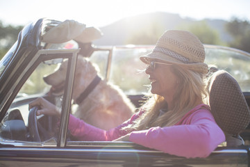 Mature woman and dog, in convertible car