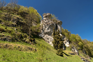 Fototapeta na wymiar Auf dem Altmühltal-Panoramaweg