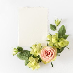 Frame  with  roses, green flowers and leaves on white background. 