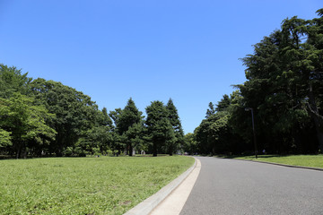 公園と道