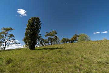 Obraz premium Auf dem Altmühltal-Panoramaweg