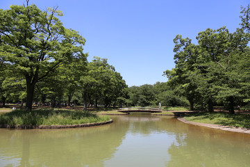 公園と池