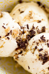 Homemade Vanilla Ice-Cream