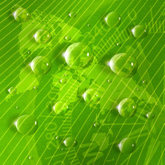 stylized image of map on a green leaf close up