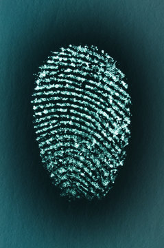 Fingerprint of a male's index finger