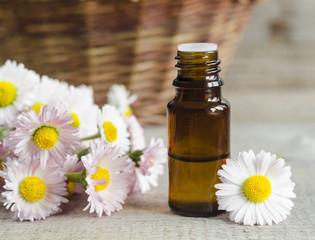 Small bottle of daisy flowers tincture