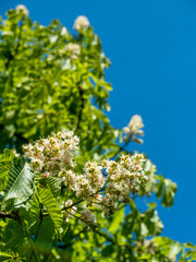 Verkehrsunfall. Auto hat bei Unfall Verkehrszeichen umgefahren