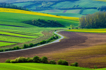 Rural landscape with green fields, road and waves, South Moravia, Czech Republic