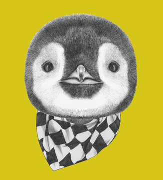 Portrait of Penguin with scarf. Hand drawn illustration.