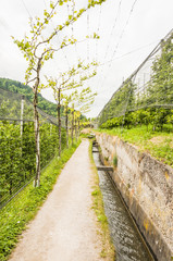 Algund, Algunder Waalweg, Waalweg, Apfelbäume, Obstplantage, Wanderweg, Vinschgau, Südtirol, Italien, Frühling