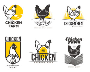 set of logos with chicken, vector illustration, isolated on a white background, with different logos chicken and yellow, simple logos about chicken, meat and eggs, the production of poultry meat