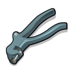 Obraz premium Working tool tongs for home and garden