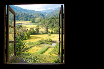 view from window at a wonderful rice terraces with space for text