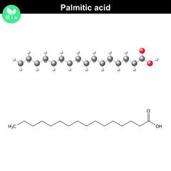 Palmitic acid molecule
