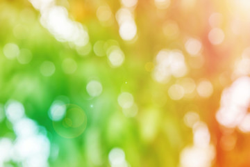 Fresh summer colour orange and green tone  bokeh and sunlight background