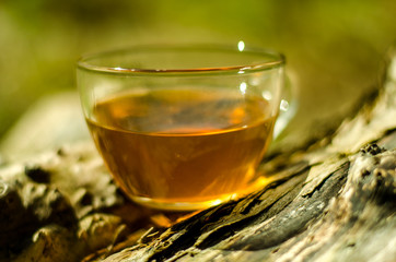 perfect cup green tea in the nature