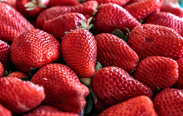 Strawberry fruit close up