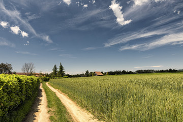 Fototapeta na wymiar Country landscape in Brianza (Italy)
