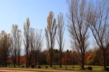 札幌前田森林公園の秋