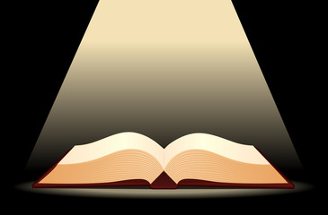 Illustration of open antique book. 