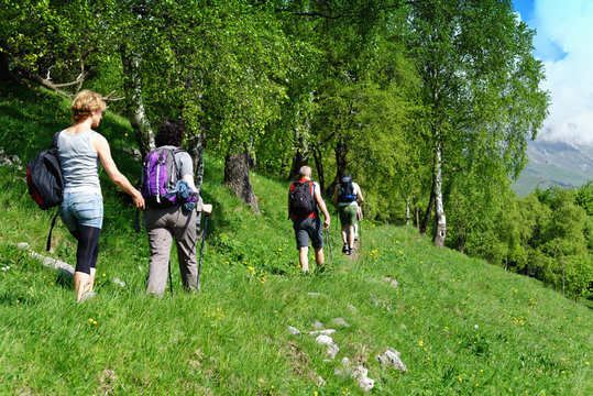 Rear view of four mature hikers hiking along hillside, Grigna, Lecco, Lombardy, Italy