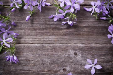 Periwinkle flowers on a wooden background