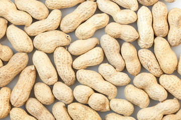 groundnut in the skin close-up