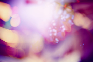 abstract blurred nature background multicolored background for a Web site, bokeh