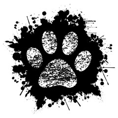 Download Search photos "paw print"