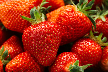 Freshly harvested strawberries background