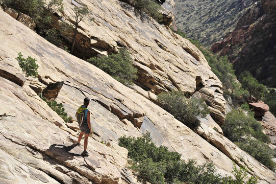 Young female rock climber looking out from steep rockface,  Mount Wilson, Nevada, USA